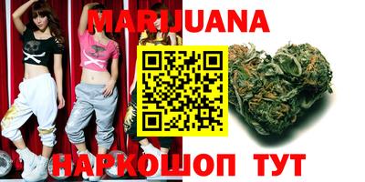 индика Моздок
