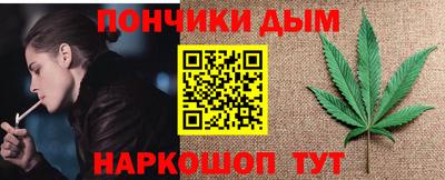 индика Моздок