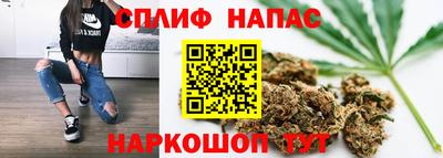 индика Моздок