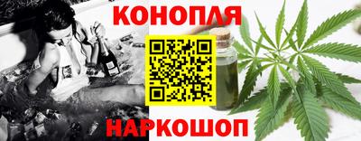 индика Моздок