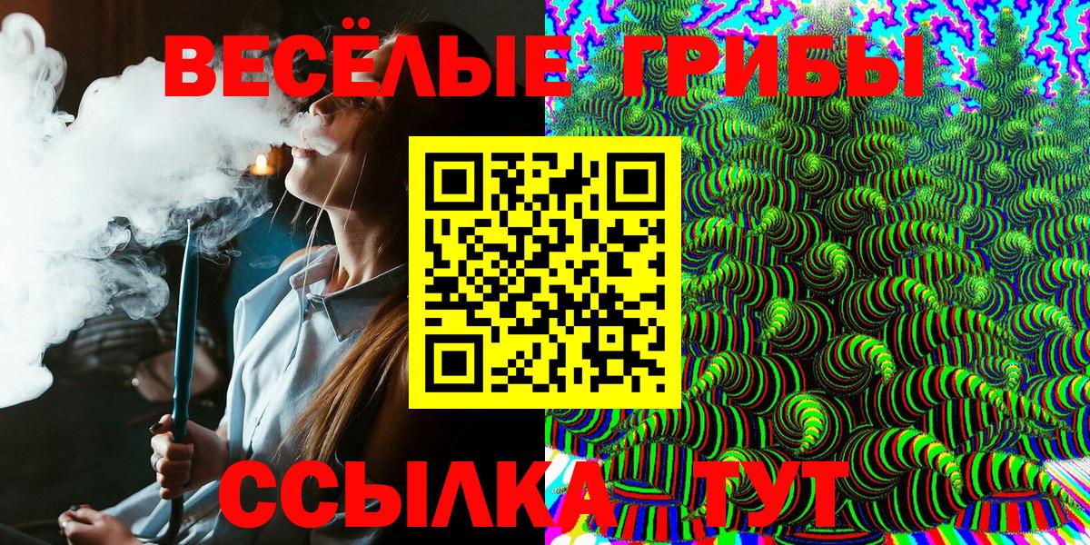 Видное  Галлюциногенные грибы Psilocybe  Вход с VPN 